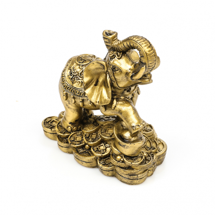 Statueta Feng Shui elefant pe bani [6]