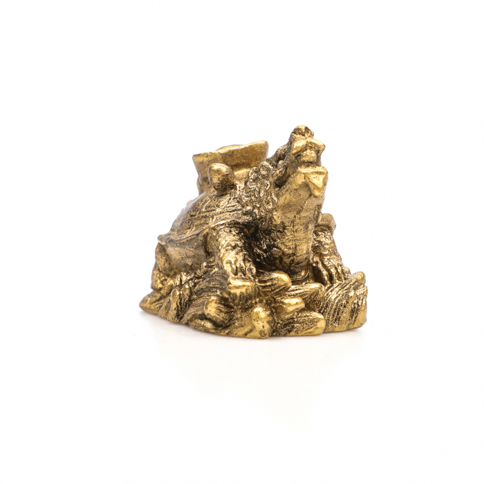 Statueta Feng Shui mica Broasca Testoasa cu cap de dragon pentru noroc si bunastare [4]