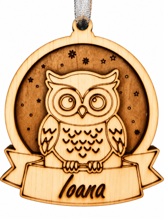Decoratiuni Craciun - Decoratiune cu nume personalizata din lemn cu o bufnita