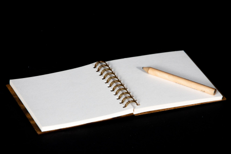 Agenda 10x10 personalizata din lemn cu mesaj "Cea mai buna directoare" [3]