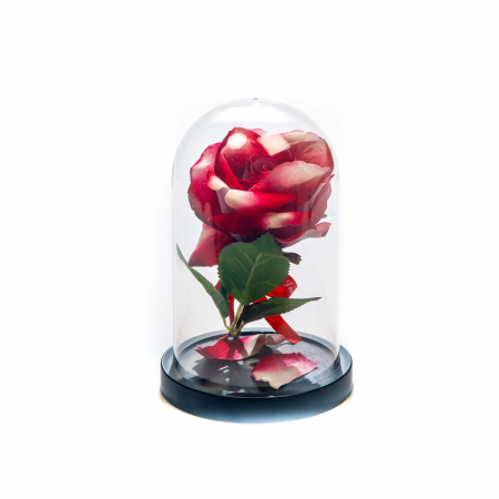 Aranjament floral rosu si alb in cupola de plastic [1]