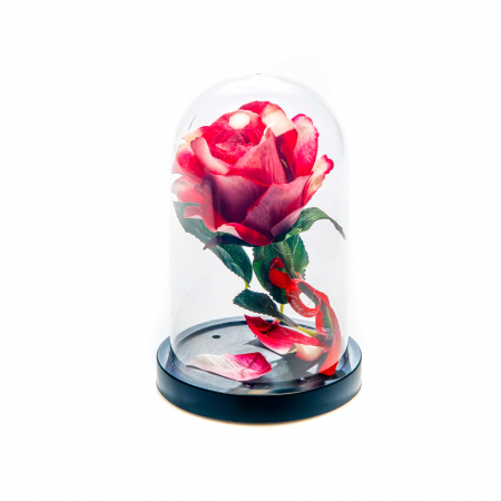 Aranjament floral rosu si alb in cupola de plastic [0]