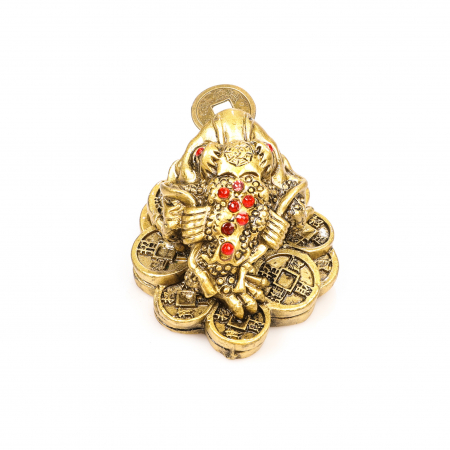 Broasca foarte mica pe bani pentru bunastare generala si noroc in viata profesionala [3]