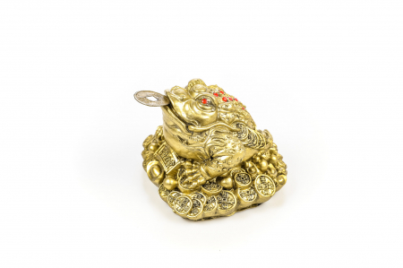 Broasca medie pentru bunastare generala si noroc in viata profesionala [2]