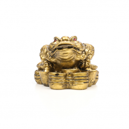 Broasca mica pe bani pentru bunastare generala si noroc in viata profesionala [4]