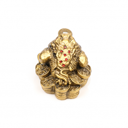 Broasca mica pe bani pentru bunastare generala si noroc in viata profesionala [3]