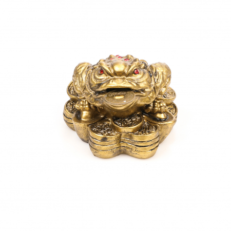 Broasca mica pe bani pentru bunastare generala si noroc in viata profesionala [1]