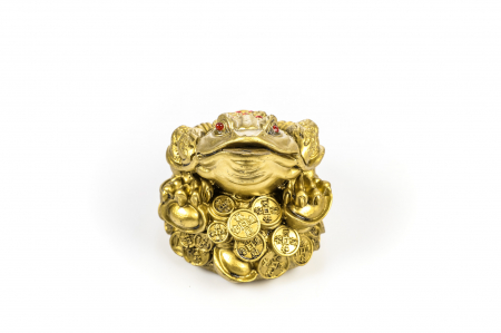 Broasca mare pentru bunastare generala si noroc in viata profesionala [1]