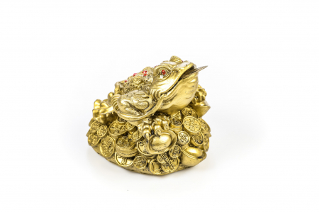 Broasca mare pentru bunastare generala si noroc in viata profesionala [0]