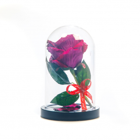 Aranjament floral mov  in cupola de plastic [3]