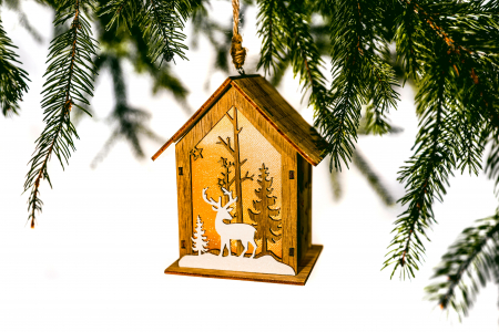 Casuta din lemn care lumineaza [0]