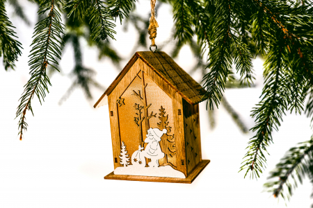 Casuta din lemn care lumineaza [0]