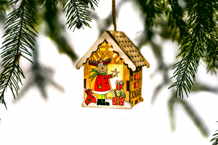 Casuta din lemn care lumineaza [0]