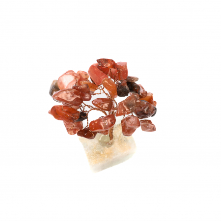 Copac Feng Shui cu baza de Fluorit si pietre semipretioase - Carneol [5]