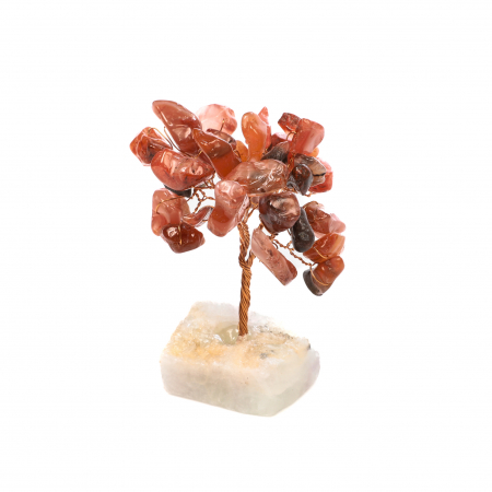 Copac Feng Shui cu baza de Fluorit si pietre semipretioase - Carneol [3]