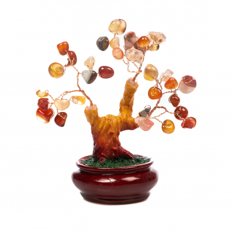 Cadouri de Paste - Copac Bonsai Feng Shui mediu cu pietre semipretioase - Carneol