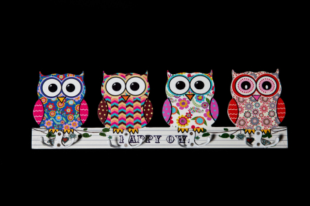 Cuier cu Bufnite pentru casa [2]