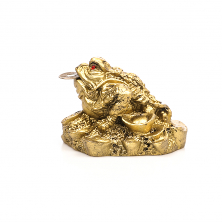 Statueta Feng Shui Broasca pe bani cu pepite [2]