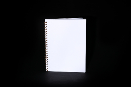 Hartie pentru agende - Hartie pentru agenda A5