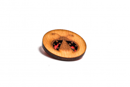 Insigna din lemn cu o buburuza [2]