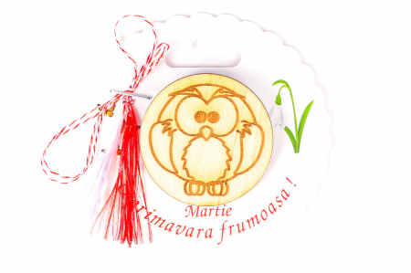 Insigne - Insigna din lemn cu o bufnita