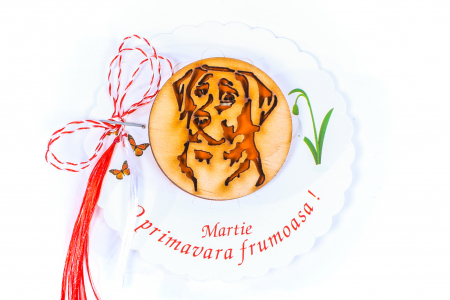 Insigne - Insigna din lemn cu o fata de catel