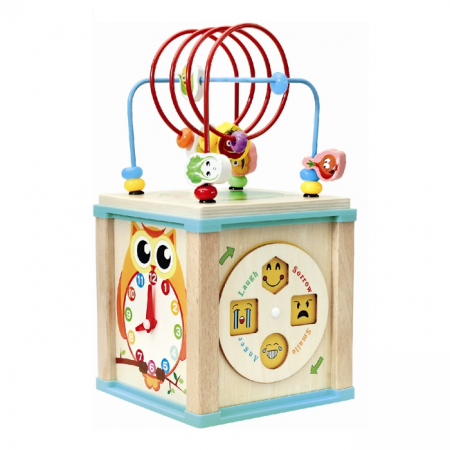Joc Montessori Cub din lemn - 5 in 1 [0]