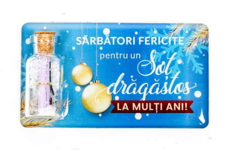 Magneti de Craciun - Magnet de Craciun albastru cu mesaj - Sot dragastos