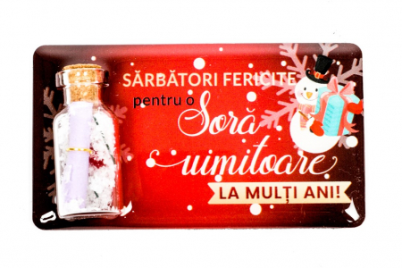 Magneti de Craciun - Magnet de Craciun rosu cu mesaj - Sora uimitoare