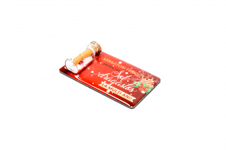 Magnet de Craciun rosu cu mesaj - Sot dragastos [1]