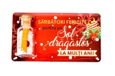 Magneti de Craciun - Magnet de Craciun rosu cu mesaj - Sot dragastos