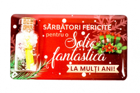 Magneti de Craciun - Magnet de Craciun rosu cu mesaj - Sotie fantastica