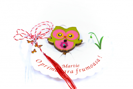 Martisor-brosa cu o bufnita [1]