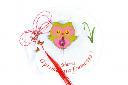 Martisor-brosa cu o bufnita [0]