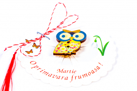 Martisor-brosa cu o bufnita albastra [1]