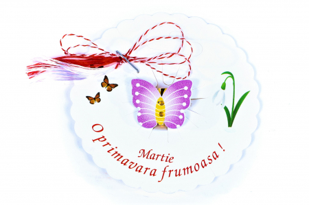 Martisor-brosa cu un fluture mov cu galben [0]