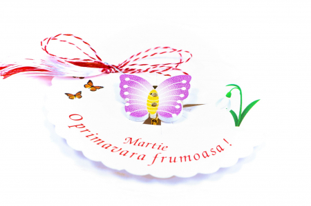 Martisor-brosa cu un fluture mov cu galben [1]