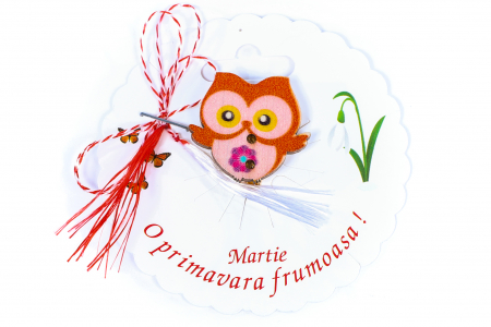 Martisor-brosa cu o bufnita [0]