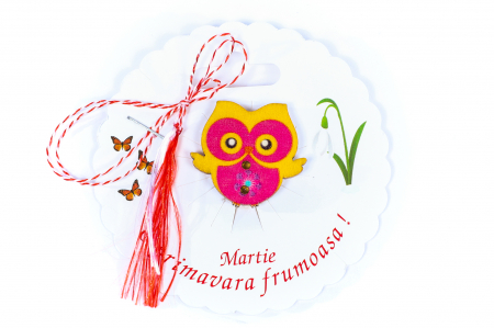 Martisor-brosa cu o bufnita [0]