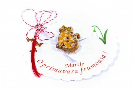 Martisor-brosa cu o pisicuta [1]