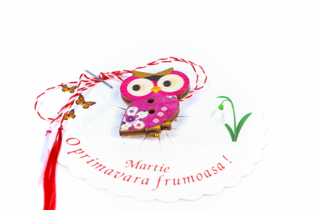 Martisor-brosa cu o bufnita roz cu ochii roz [1]