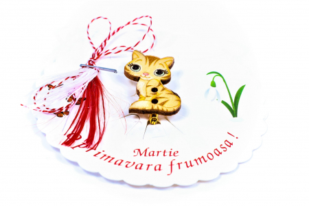Martisor-brosa cu o pisicuta [1]