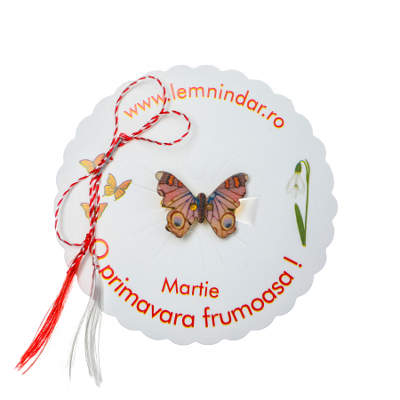 Martisor-brosa cu un fluturas cu model mov cu albastru [2]