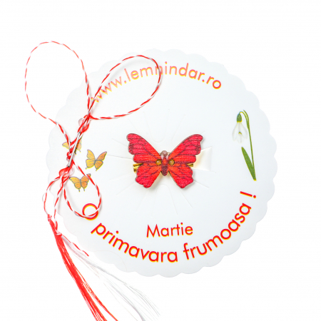 Martisor-brosa cu un fluturas model cu rosu [3]