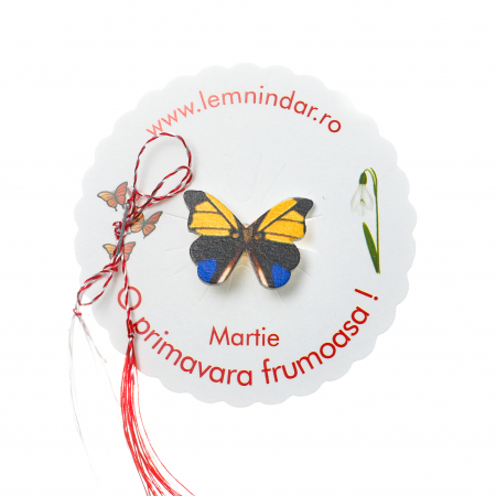 Martisor-brosa cu un fluturas model cu galben si albastru [0]