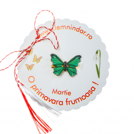 Martisoare - Martisor-brosa cu un fluturas model cu verde si negru