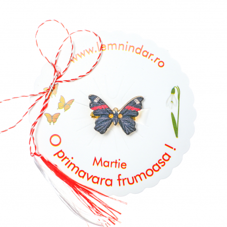 Martisor-brosa cu un fluturas model negru cu dunga rosie [3]