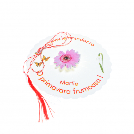 Martisor-brosa cu o margareta roz deschis [2]