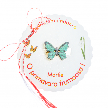Martisor-brosa cu un fluturas model cu verde si negru [2]