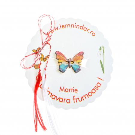 Martisor-brosa cu un fluturas model curcubeu [2]